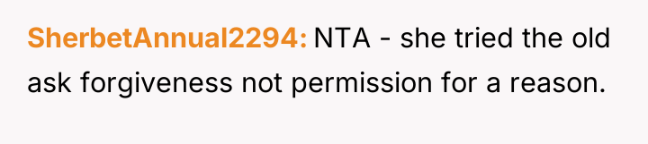 SherbetAnnual2294 NTA - she tried the old ask forgiveness not...