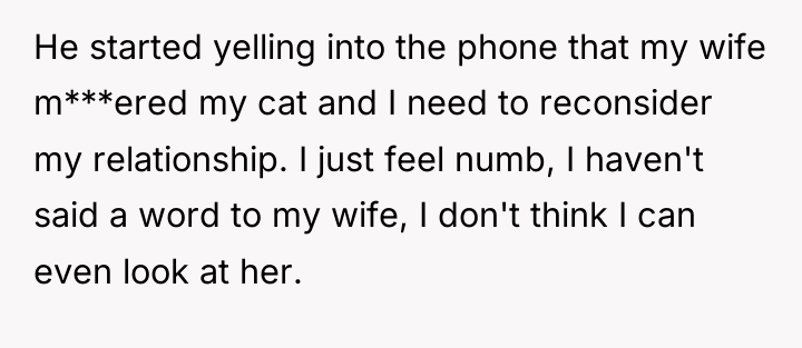 He started yelling into the phone that my wife m***ered...