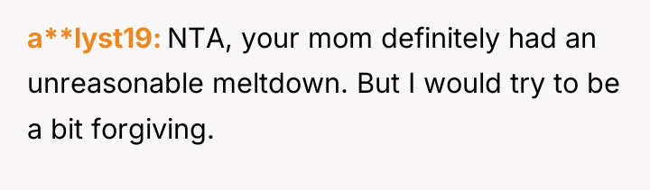a**lyst19 NTA, your mom definitely had an unreasonable meltdown. But...