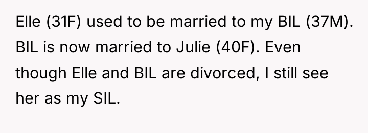 Elle (31F) used to be married to my BIL (37M)....