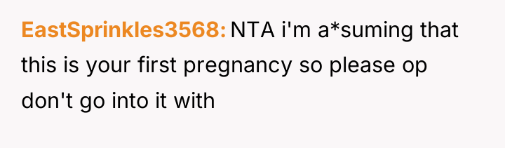 EastSprinkles3568 NTA i'm a*suming that this is your first pregnancy...