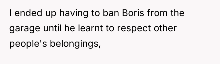 I ended up having to ban Boris from the garage...