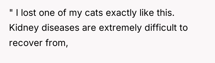 " I lost one of my cats exactly like this....
