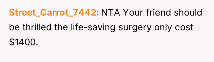 Street_Carrot_7442 NTA Your friend should be thrilled the life-saving surgery...