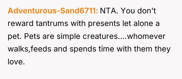 Adventurous-Sand6711 NTA. You don't reward tantrums with presents let alone...