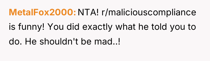 MetalFox2000 NTA! r/maliciouscompliance is funny! You did exactly what he...