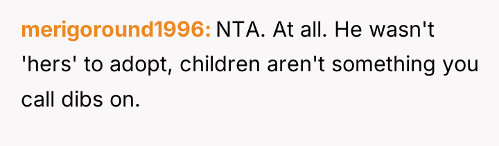 merigoround1996 NTA. At all. He wasn't 'hers' to adopt, children...