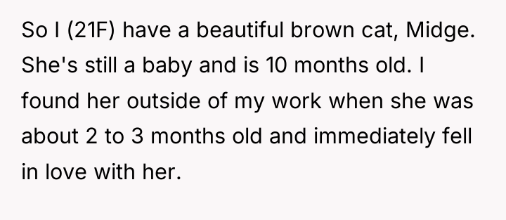 So I (21F) have a beautiful brown cat, Midge. She's...