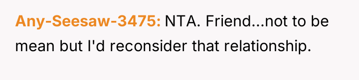 Any-Seesaw-3475 NTA. Friend...not to be mean but I'd reconsider that...