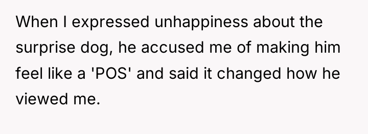 When I expressed unhappiness about the surprise dog, he accused...