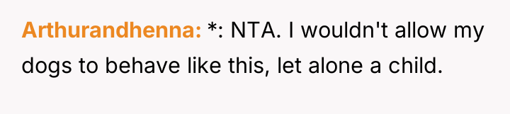 Arthurandhenna *: NTA. I wouldn't allow my dogs to behave...