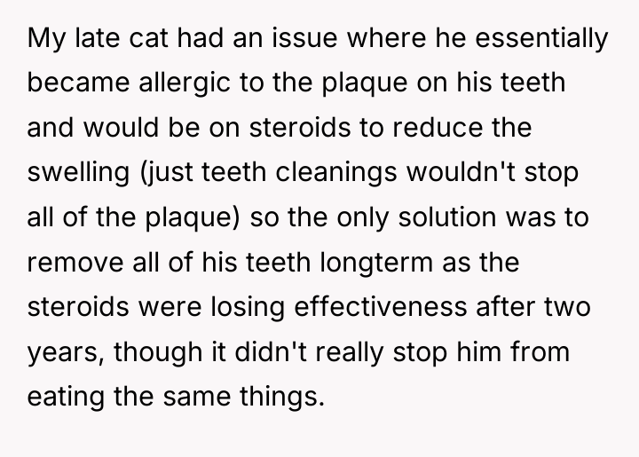 My late cat had an issue where he essentially became...