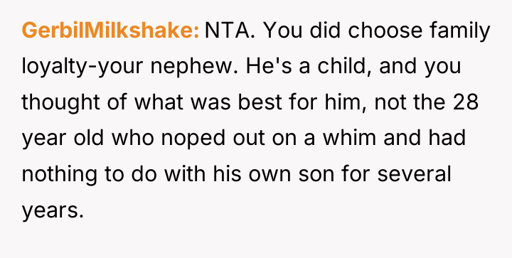 GerbilMilkshake NTA. You did choose family loyalty-your nephew. He's a...