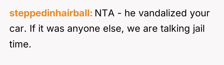 steppedinhairball NTA - he vandalized your car. If it was...