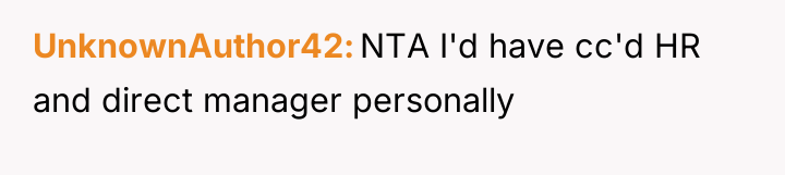 UnknownAuthor42 NTA I'd have cc'd HR and direct manager personally