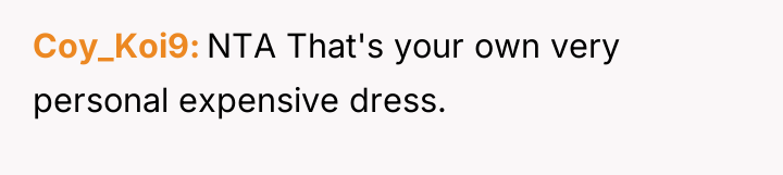 Coy_Koi9 NTA That's your own very personal expensive dress.