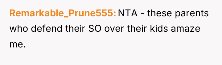 Remarkable_Prune555 NTA - these parents who defend their SO over...
