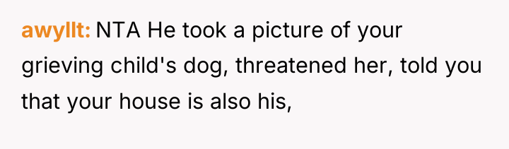 awyllt NTA He took a picture of your grieving child's...