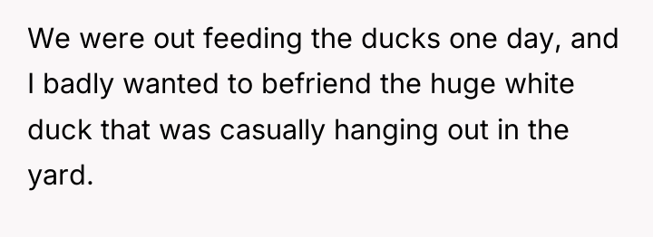 We were out feeding the ducks one day, and I...