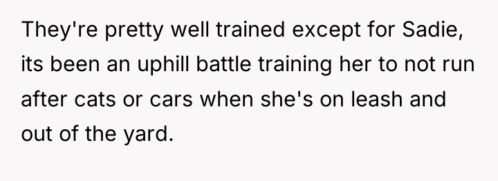 They're pretty well trained except for Sadie, its been an...