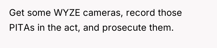 Get some WYZE cameras, record those PITAs in the act,...