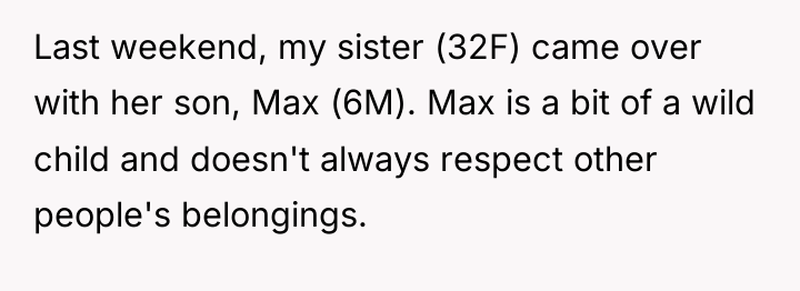 Last weekend, my sister (32F) came over with her son,...