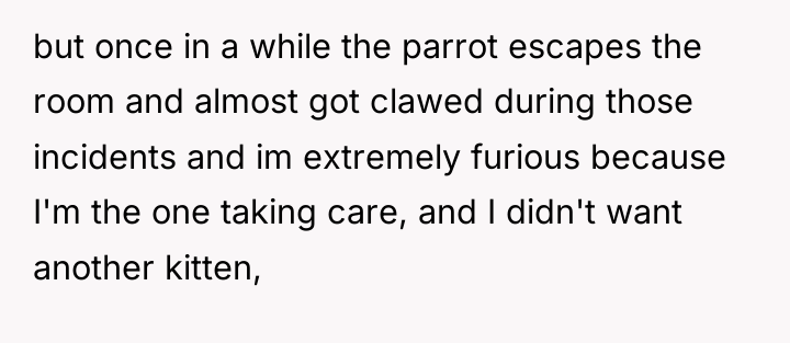 but once in a while the parrot escapes the room...