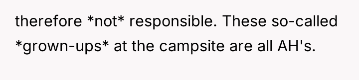 therefore *not* responsible. These so-called *grown-ups* at the campsite are...