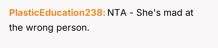 PlasticEducation238 NTA - She's mad at the wrong person.