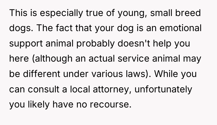 This is especially true of young, small breed dogs. The...