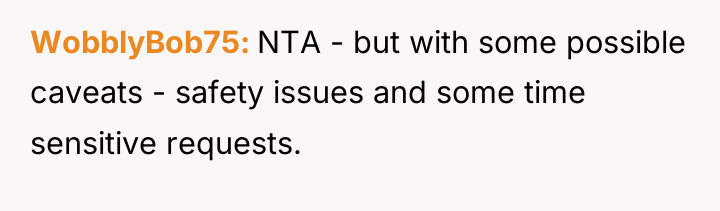 WobblyBob75 NTA - but with some possible caveats - safety...