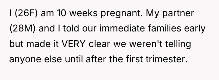 I (26F) am 10 weeks pregnant. My partner (28M) and...