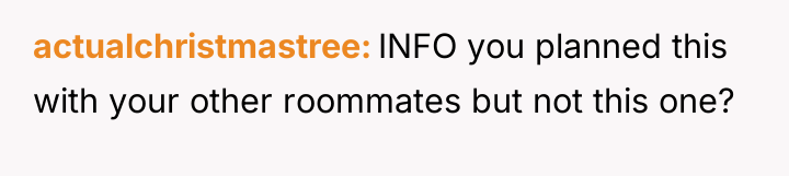actualchristmastree INFO you planned this with your other roommates but...