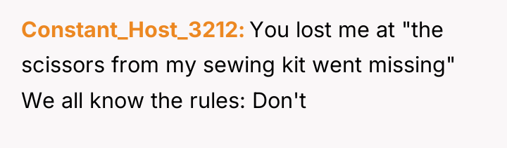 Constant_Host_3212 You lost me at "the scissors from my sewing...