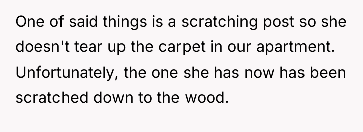 One of said things is a scratching post so she...