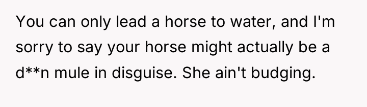 You can only lead a horse to water, and I'm...
