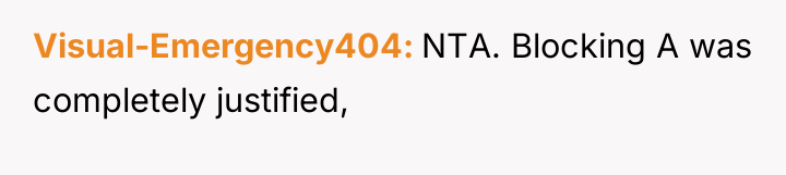 Visual-Emergency404 NTA. Blocking A was completely justified,