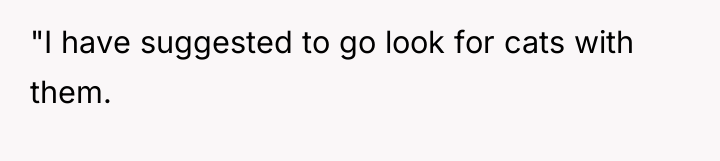 "I have suggested to go look for cats with them.