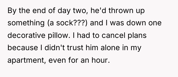 By the end of day two, he'd thrown up something...