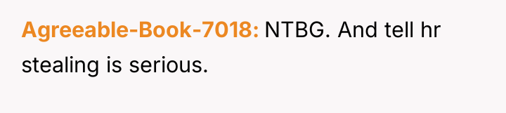 Agreeable-Book-7018 NTBG. And tell hr stealing is serious.