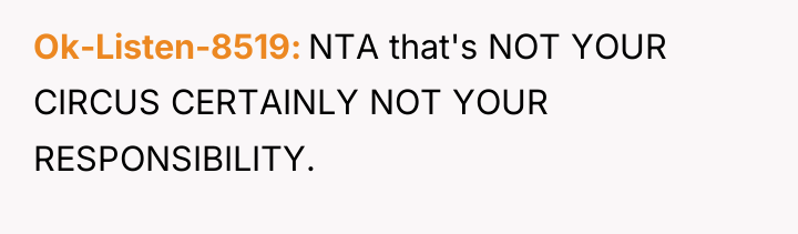 Ok-Listen-8519 NTA that's NOT YOUR CIRCUS CERTAINLY NOT YOUR RESPONSIBILITY.