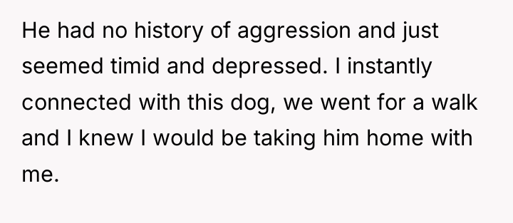 He had no history of aggression and just seemed timid...