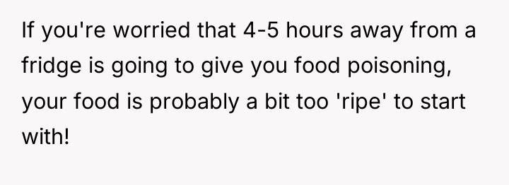 If you're worried that 4-5 hours away from a fridge...