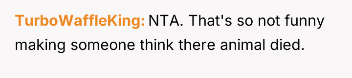 TurboWaffleKing NTA. That's so not funny making someone think there...