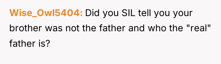 Wise_Owl5404 Did you SIL tell you your brother was not...