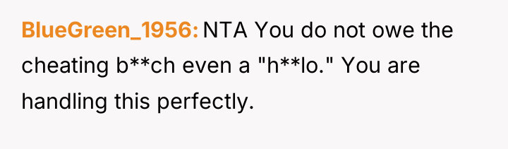 BlueGreen_1956 NTA You do not owe the cheating b**ch even...