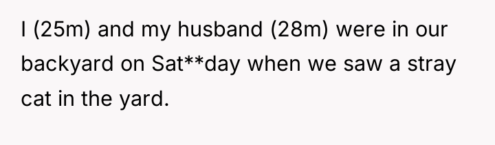 I (25m) and my husband (28m) were in our backyard...