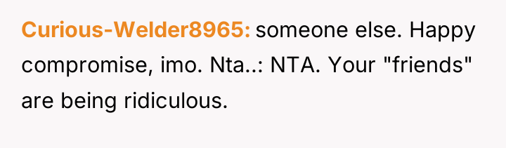 Curious-Welder8965 someone else. Happy compromise, imo. Nta..: NTA. Your "friends"...