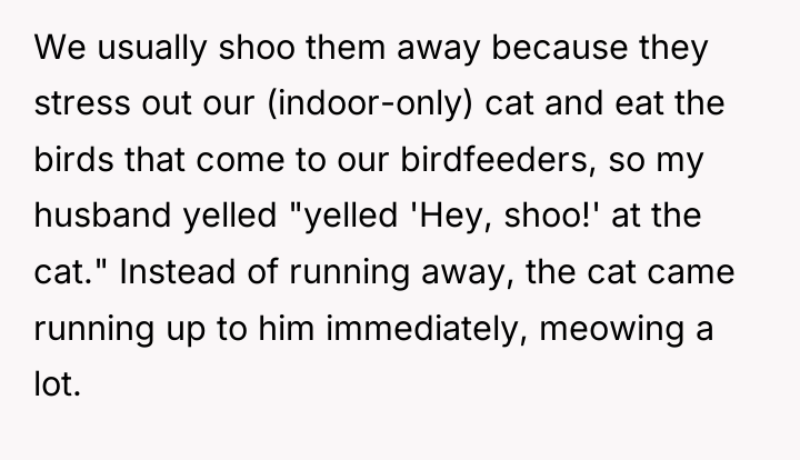 We usually shoo them away because they stress out our...