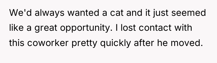 We'd always wanted a cat and it just seemed like...